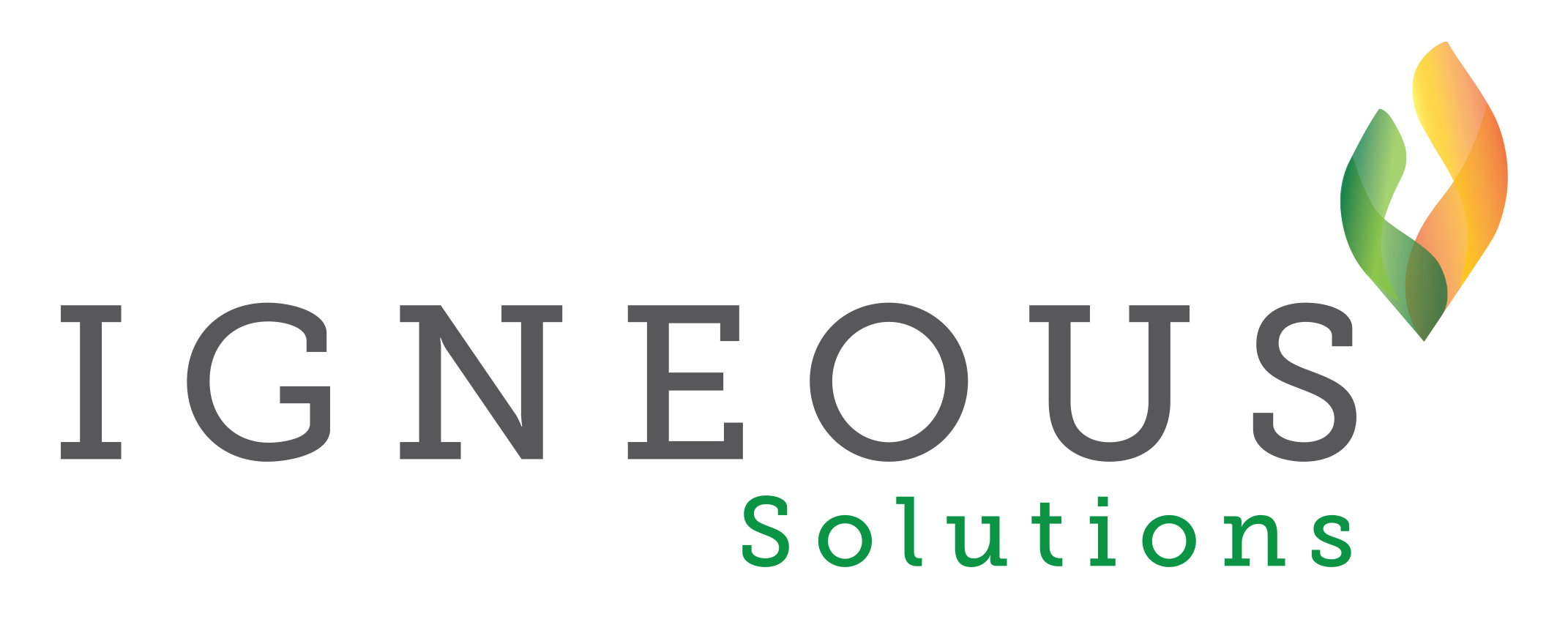 Igneous Solutions logo