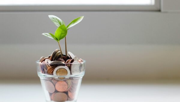 A plant growing out of a pot of money.