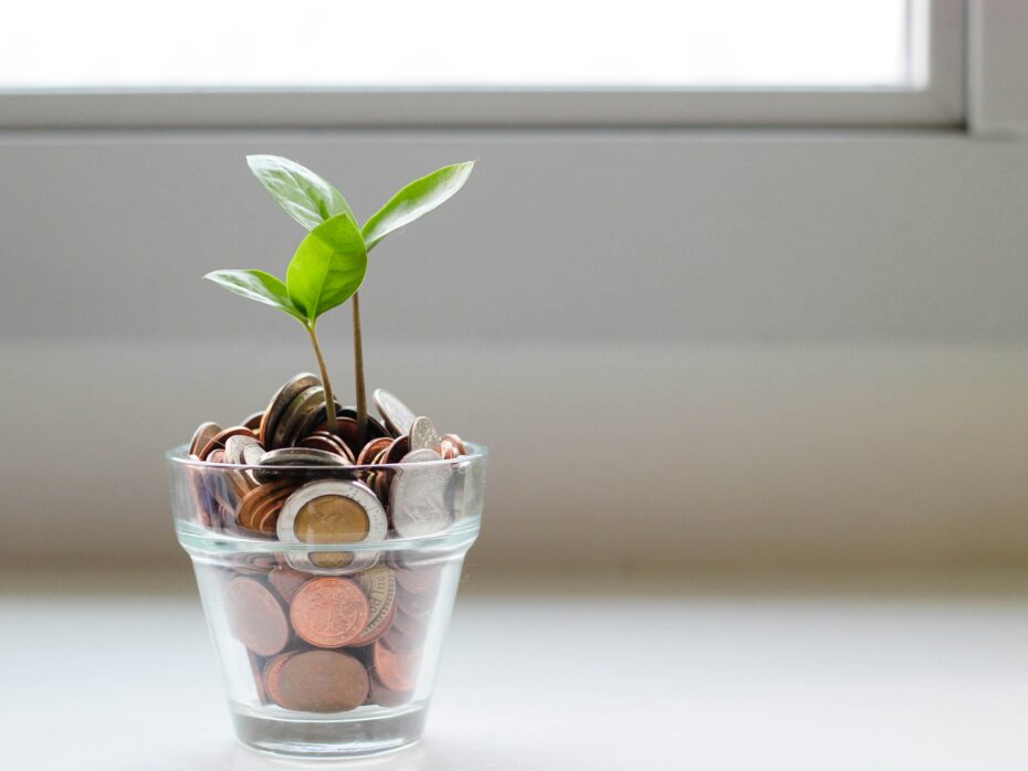 A plant growing out of a pot of money.